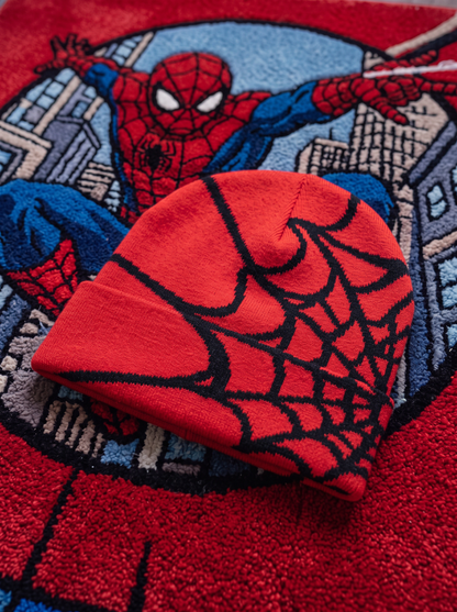 Spider Beanie